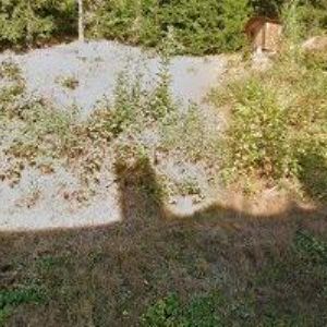 obrazek: avatar DRDA GLASS