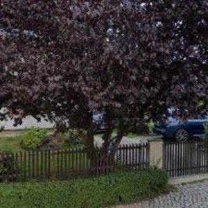 obrazek: avatar ŠPRINGL VÁCLAV