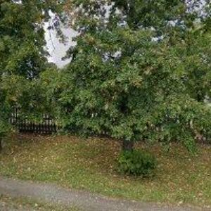 obrazek: avatar HEINRICHOVÁ HANA