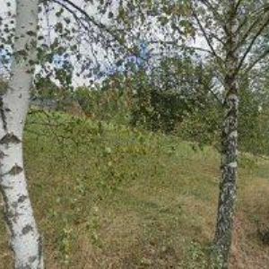 obrazek: avatar FLÍDROVÁ IVA