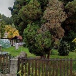 obrazek: avatar JIZERSKÁ PORCELÁNKA s.r.o.