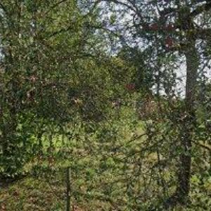 obrazek: avatar TRUHLÁŘSTVÍ KOŘÍNEK