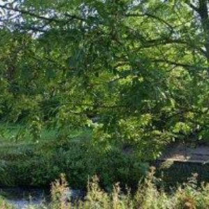 obrazek: avatar CABEJŠEK MARTIN