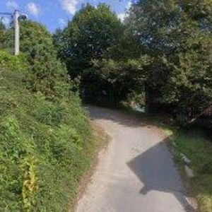 obrazek: avatar ŠMOLDAS DAVID