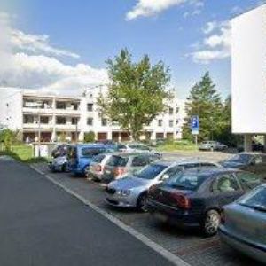 obrazek: avatar SVATEBNÍ ASISTENTKA