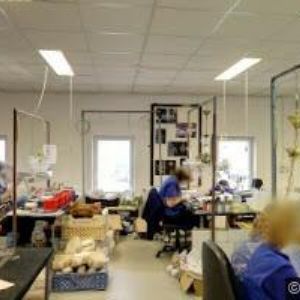 obrazek: avatar WRANOVSKY.COM