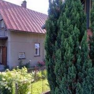 obrazek: avatar HORSKÉ ROUBENKY