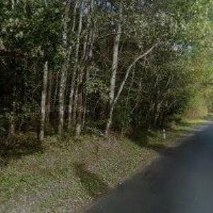 obrazek: avatar ŠTOLÚNOVÁ VLASTA akad.sochař