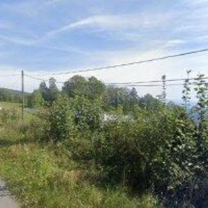 obrazek: avatar CHLUM MARTIN-GLASSMANUFACTURE