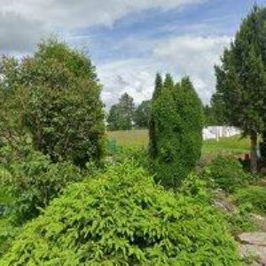 obrazek: avatar FAJMONOVÁ IRMA