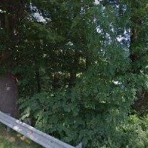 obrazek: avatar OKAPY EXPERT