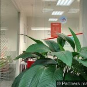 obrazek: avatar WOKE s.r.o.