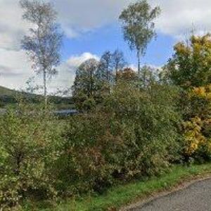 obrazek: avatar MYSLIVEČEK MARTIN