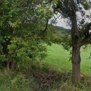 obrazek: avatar WEISSER ALEŠ