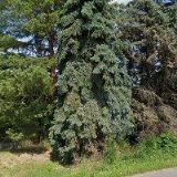 LAM-PLAST, spol. s r.o.