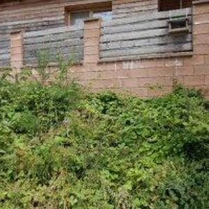 obrazek: avatar TEJKL LADISLAV-DŘEVOVÝROBA