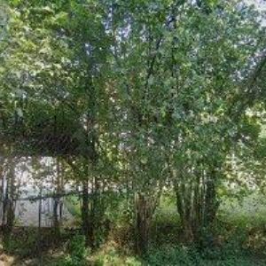 obrazek: avatar BEKOV s.r.o.