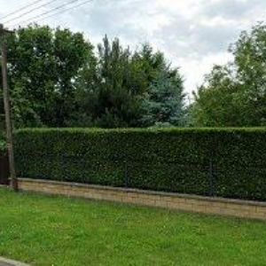 obrazek: avatar STŘECHY NA KLÍČ-DŘEVOSTAVBY PARDUBICE