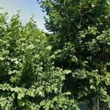 TRUHLÁŘSTVÍ ŠVEJDA