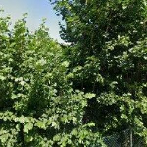 obrazek: avatar TRUHLÁŘSTVÍ ŠVEJDA