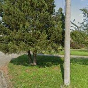 obrazek: avatar LÁSKO JIŘÍ-ZEDNICTVÍ