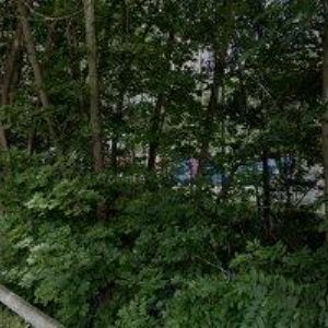 obrazek: avatar FALTUS VIKTOR