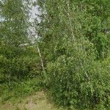 AMD KONSTRUKT s.r.o.