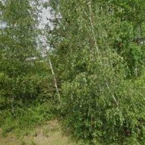 obrazek: avatar AMD KONSTRUKT s.r.o.