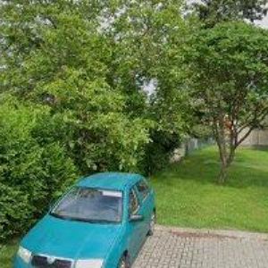 obrazek: avatar DORABEX