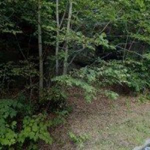 obrazek: avatar PRAŠLAK s.r.o.