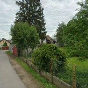 obrazek: avatar FIBICH KAMIL