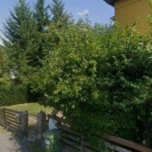 obrazek: avatar ROCKWELD