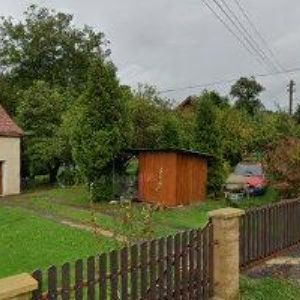 obrazek: avatar PETTER MIROSLAV