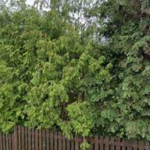 obrazek: avatar MEDUNA VOJTĚCH Ing.