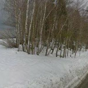 obrazek: avatar ENGLC FILIP