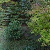 BARTONČÍK JAN-STŘECHY