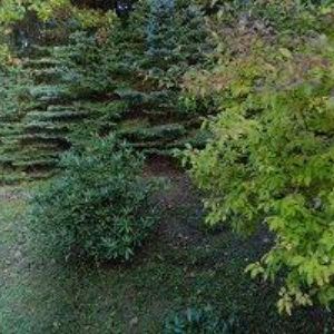 obrazek: avatar BARTONČÍK JAN-STŘECHY