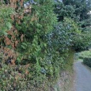 obrazek: avatar SAWAC s.r.o.