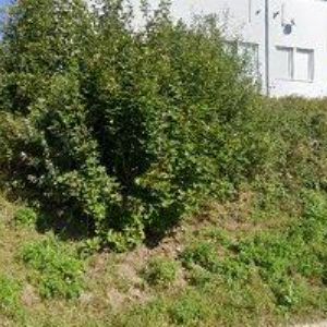 obrazek: avatar STEELFORM TECHNOLOGY s.r.o.