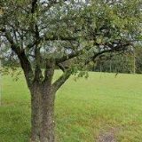 ALUMINIUM RACING PRODUCTS