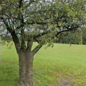 obrazek: avatar ALUMINIUM RACING PRODUCTS