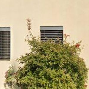 obrazek: avatar ŠARA RUDOLF