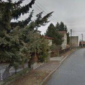 obrazek: avatar PITRUN LUBOR