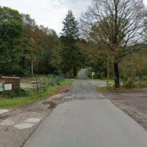 obrazek: avatar MĚSTSKÉ LESY VALAŠSKÉ KLOBOUKY, s.r.o.