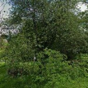 obrazek: avatar PACHOLÍK ANTONÍN