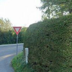 obrazek: avatar SINCON TECHNOLOGY, s.r.o.