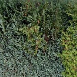 obrazek: avatar MAKÍŠOVÁ JANA