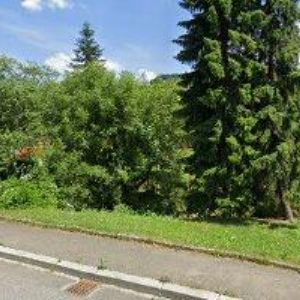 obrazek: avatar MACHÁLEK RADOMÍR