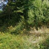 JAVORNÍK-CZ-PLUS s.r.o.