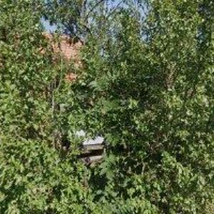 obrazek: avatar SKOČOVSKÝ ZDENĚK